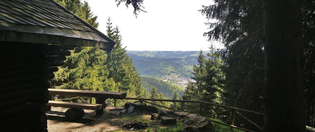 Ferienwohnung Klaus Im Tal Der Steinach Steinach  Exterior photo