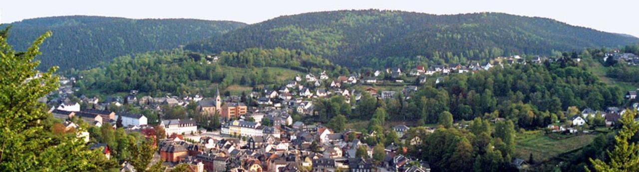 Ferienwohnung Klaus Im Tal Der Steinach Steinach  Exterior photo